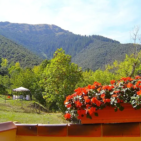 Πανσιόν El Bosque *