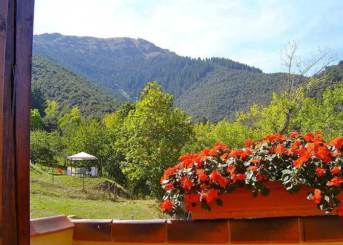 Casa de hóspedes El Bosque 4*